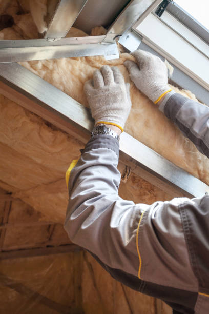 Attic Insulation Near Me in Woodlawn Beach, FL