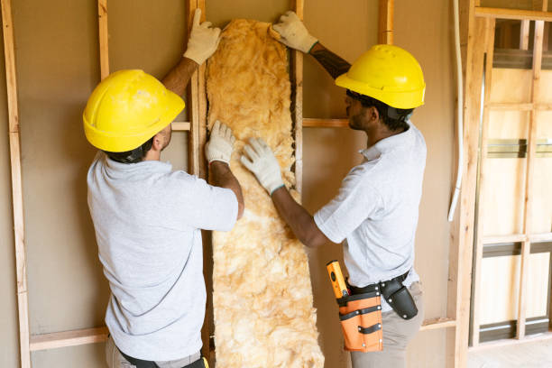 Professional Insulation Contractor in Woodlawn Beach, FL